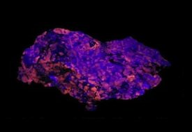 Sodalite fluorescent