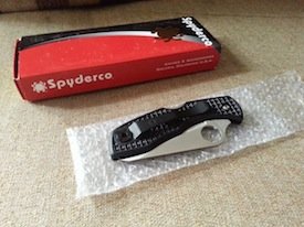 spyderco salt i