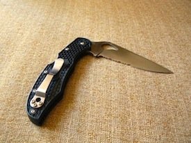 spyderco byrd cara cara 2