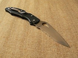 spyderco byrd cara cara 2