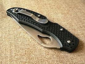 spyderco byrd cara cara 2