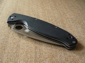 Spyderco Resilience