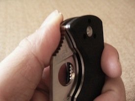 Spyderco Resilience