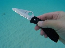 using Spyderco Salt I