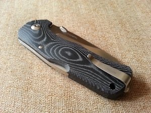 lionsteel tm1