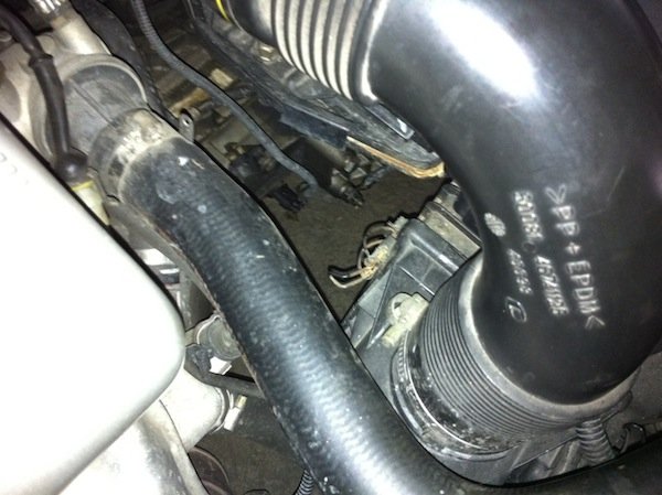 hose in engine bay